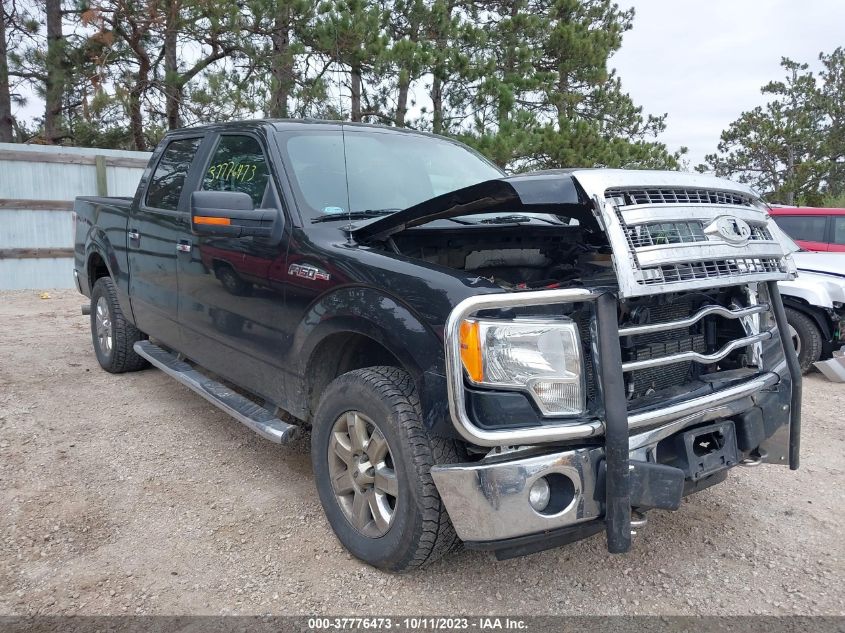 2013 FORD F-150 XL/XLT/FX4/LARIAT - 1FTFW1EF9DKG50970