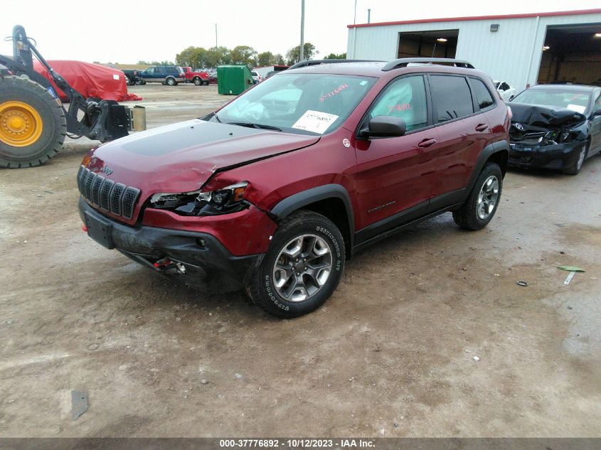 1C4PJMBX8KD437124 Jeep Cherokee TRAILHAWK ELITE 2