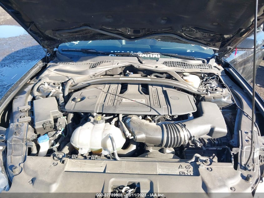 VIN 1FA6P8CF1M5111319 2021 FORD MUSTANG GT