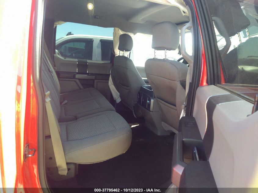 2015 FORD F-150 XLT/XL - 1FTEW1C84FFA74037