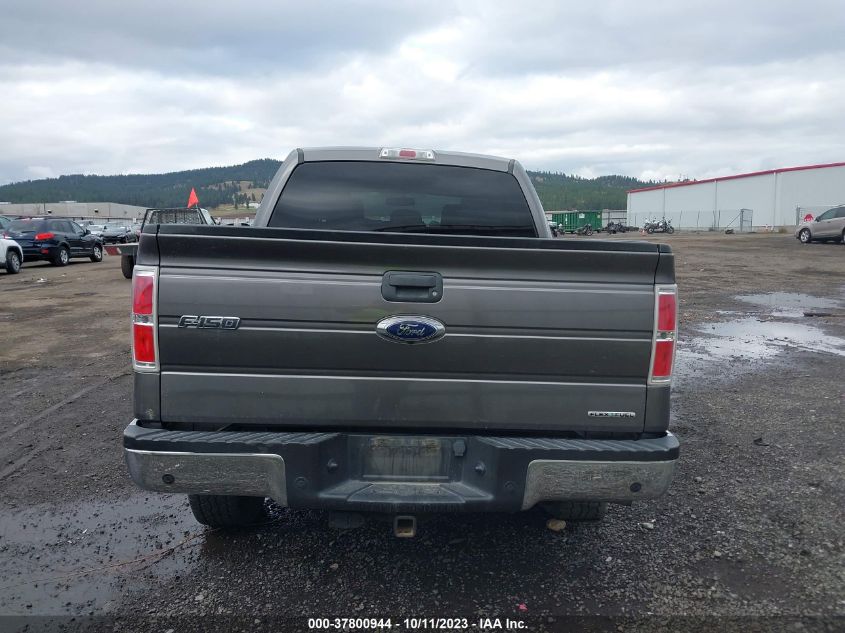 2014 FORD F-150 XL/XLT/STX/FX4/LARIAT - 1FTFW1EF2EFB50952