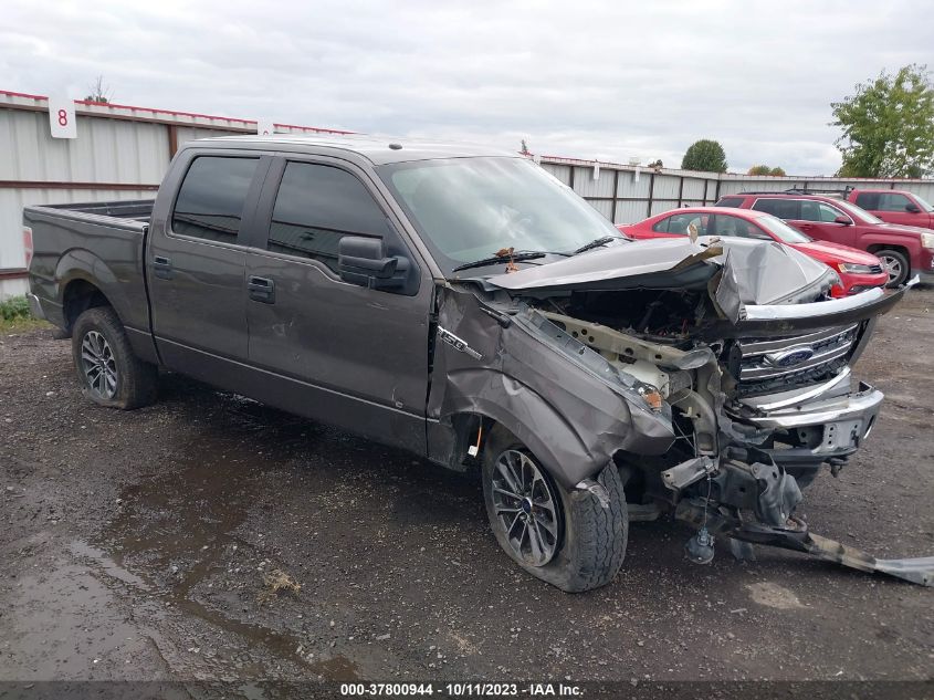 2014 FORD F-150 XL/XLT/STX/FX4/LARIAT - 1FTFW1EF2EFB50952