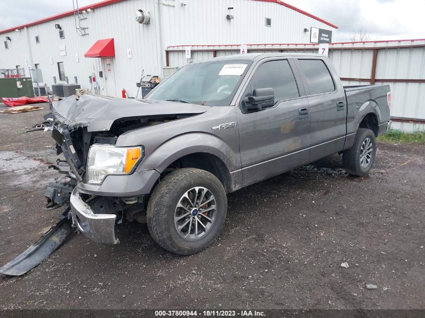 2014 FORD F-150 XL/XLT/STX/FX4/LARIAT - 1FTFW1EF2EFB50952