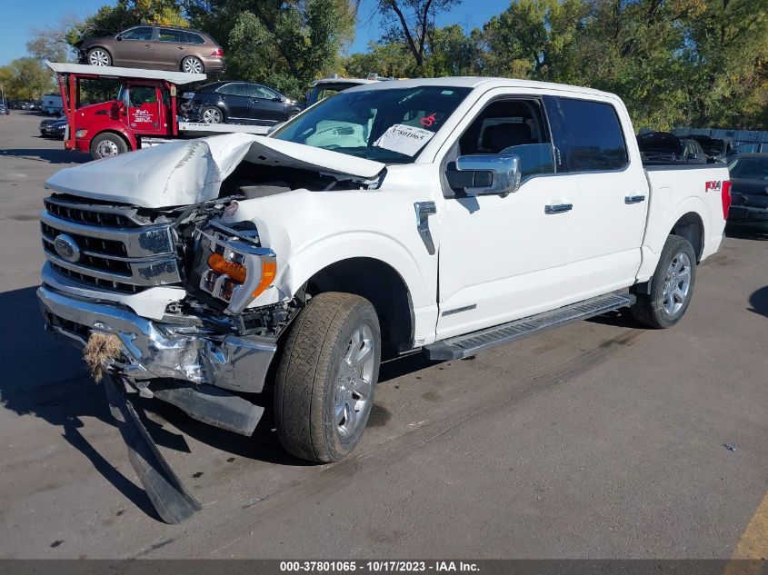 2021 FORD F-150 XL/XLT/LARIAT - 1FTFW1ED1MFD05598