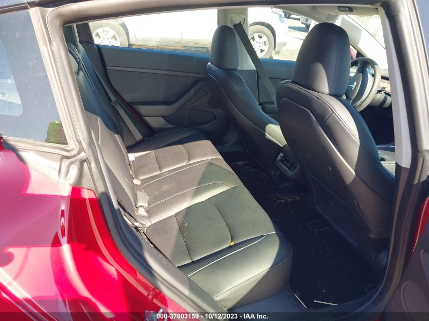 2023 TESLA MODEL 3 - 5YJ3E1EA7PF555500