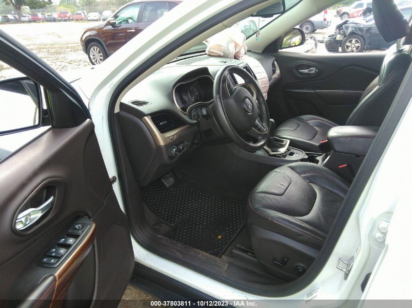 2014 JEEP CHEROKEE TRAILHAWK - 1C4PJMBSXEW241098