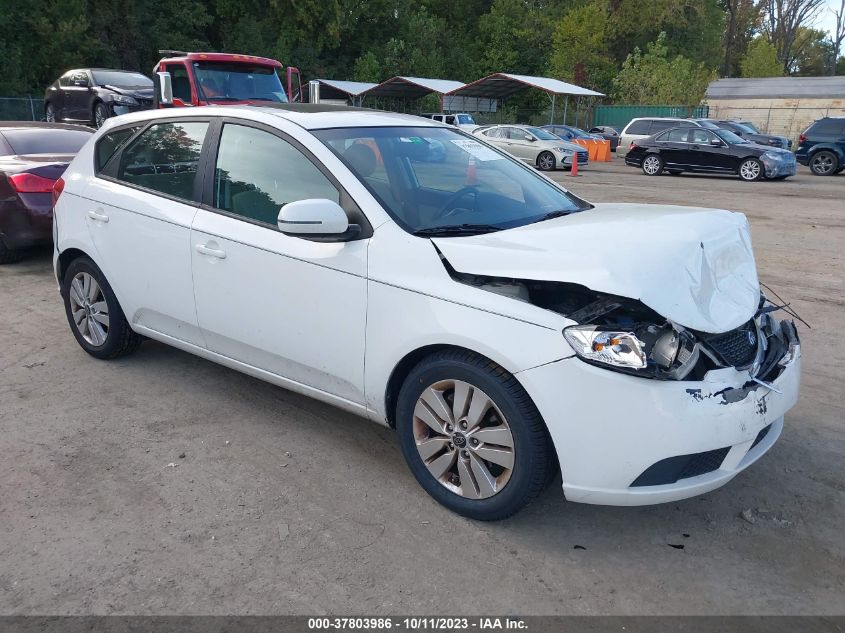 2013 KIA FORTE 5-DOOR EX - KNAFU5A21D5658167