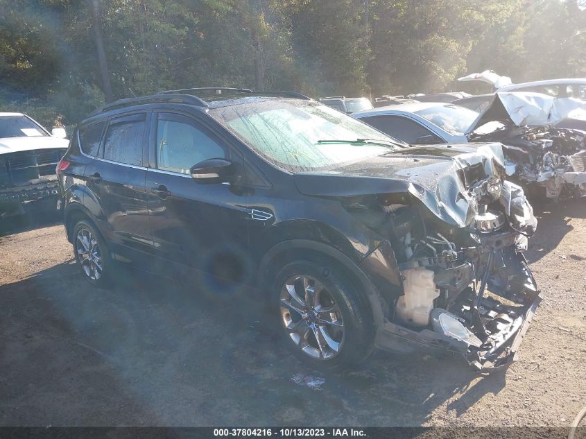 2013 FORD ESCAPE SEL - 1FMCU0HX6DUB88570