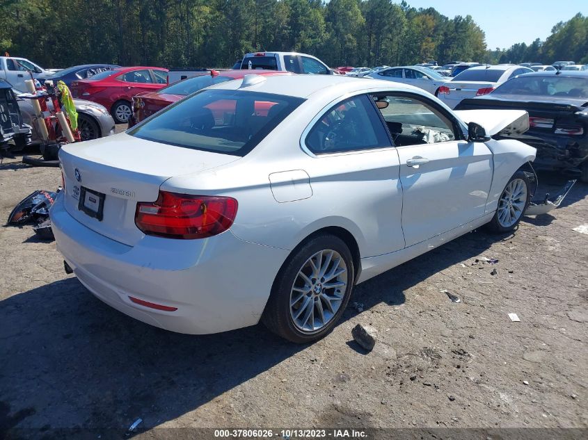 2015 BMW 2 SERIES 228I XDRIVE - WBA1F7C58FV367501