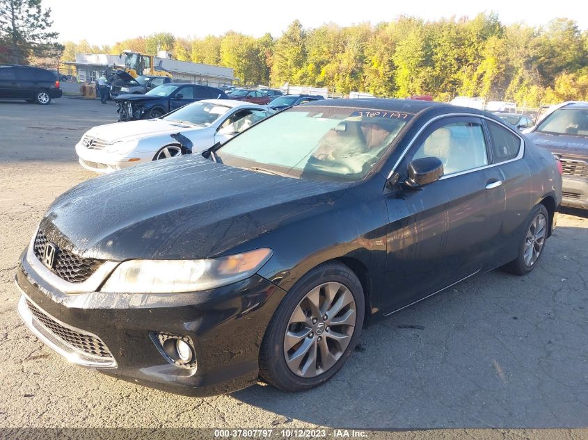 2013 HONDA ACCORD CPE EX-L 1HGCT1B83DA000850