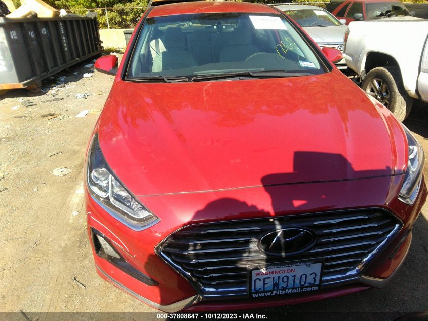 2019 HYUNDAI SONATA SE - 5NPE24AFXKH802443