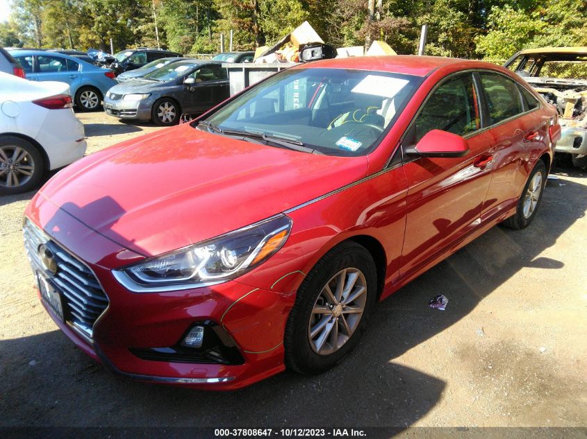 2019 HYUNDAI SONATA SE - 5NPE24AFXKH802443