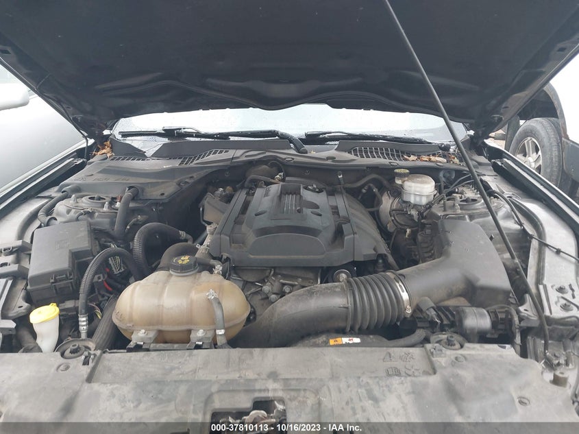 VIN 1FA6P8TH7J5131684 2018 FORD MUSTANG ECOBOOST