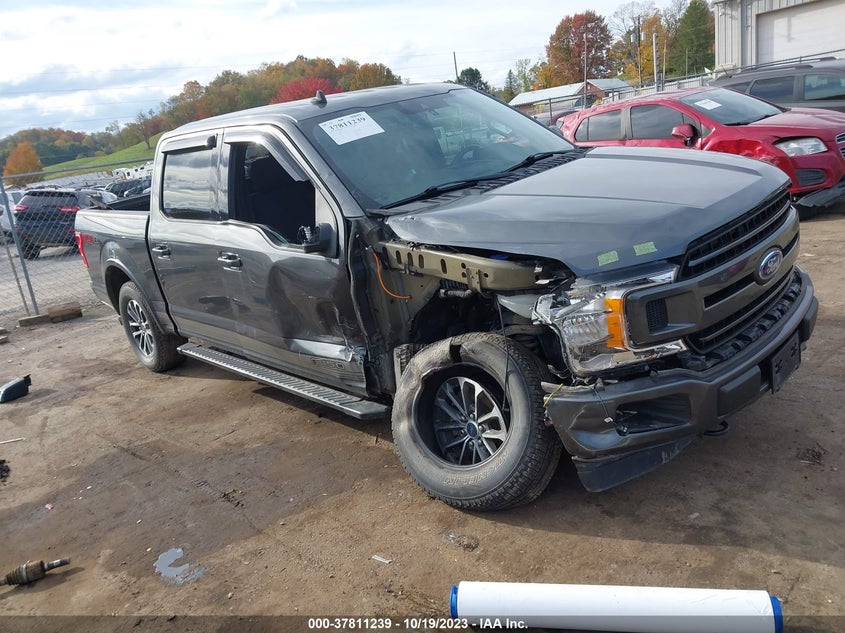 FORD F-150 XL/XLT/LARIAT 2019