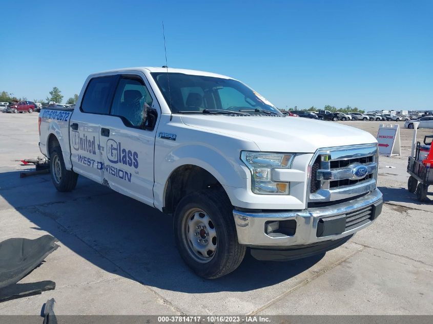 2016 FORD F-150 XLT/XL - 1FTEW1C84GFA16995