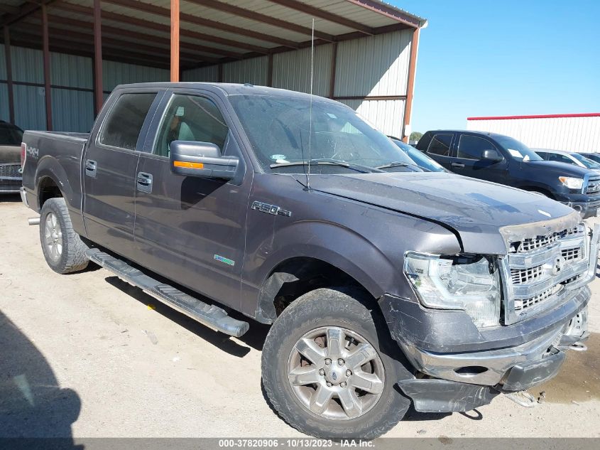 2014 FORD F-150 XL/XLT/FX4/LARIAT - 1FTFW1ET2EKD67012