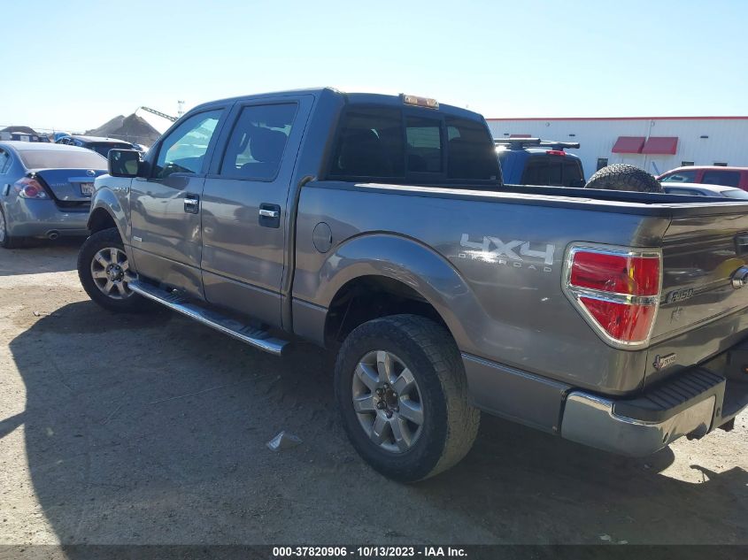 2014 FORD F-150 XL/XLT/FX4/LARIAT - 1FTFW1ET2EKD67012
