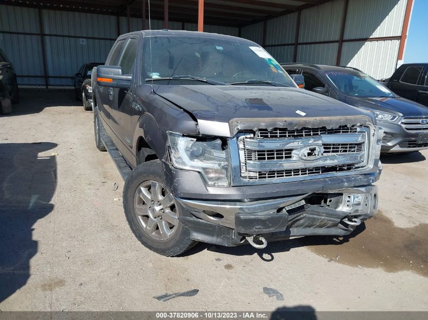 2014 FORD F-150 XL/XLT/FX4/LARIAT - 1FTFW1ET2EKD67012