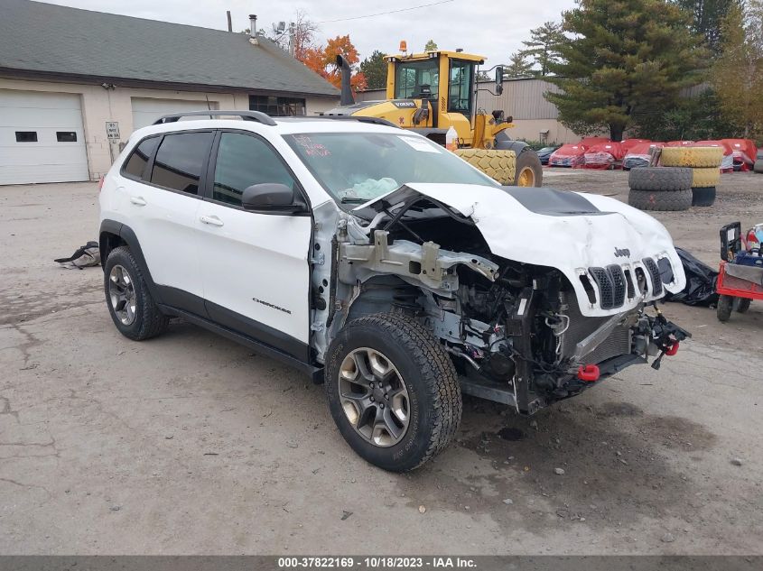 2019 JEEP CHEROKEE TRAILHAWK - 1C4PJMBNXKD225288