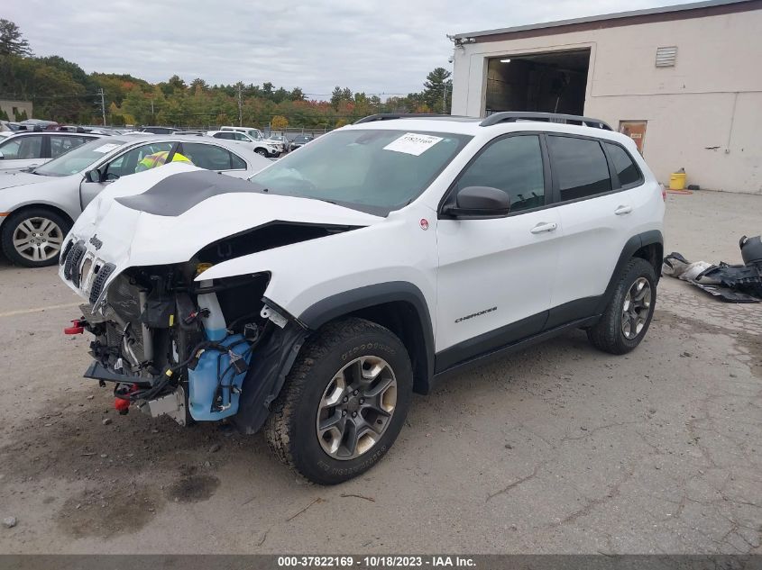 2019 JEEP CHEROKEE TRAILHAWK - 1C4PJMBNXKD225288