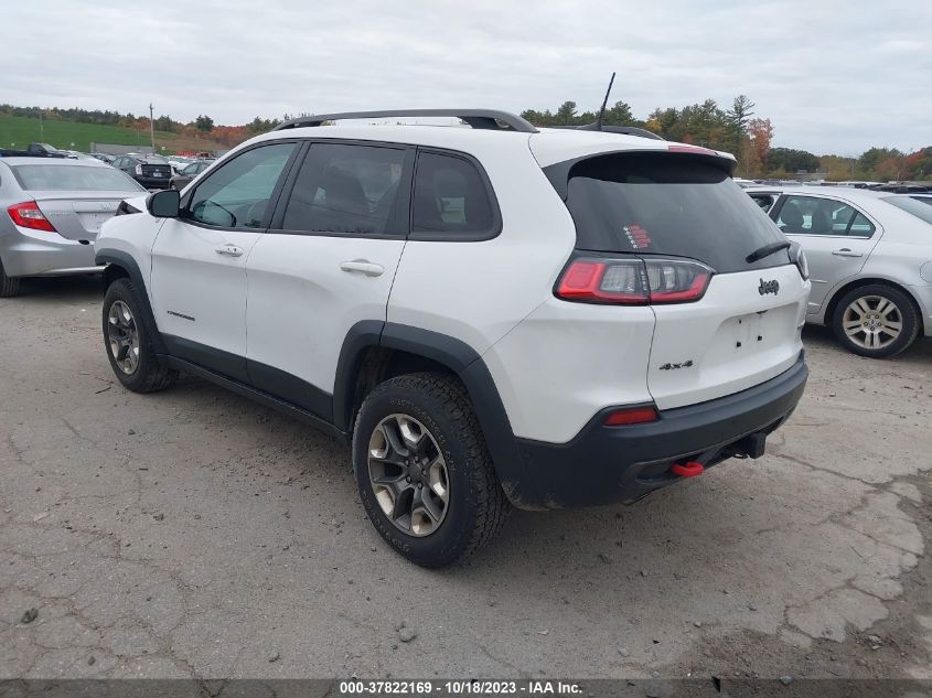 2019 JEEP CHEROKEE TRAILHAWK - 1C4PJMBNXKD225288