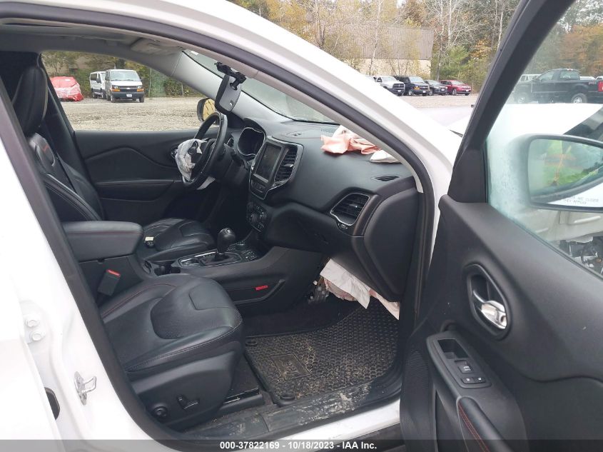 2019 JEEP CHEROKEE TRAILHAWK - 1C4PJMBNXKD225288