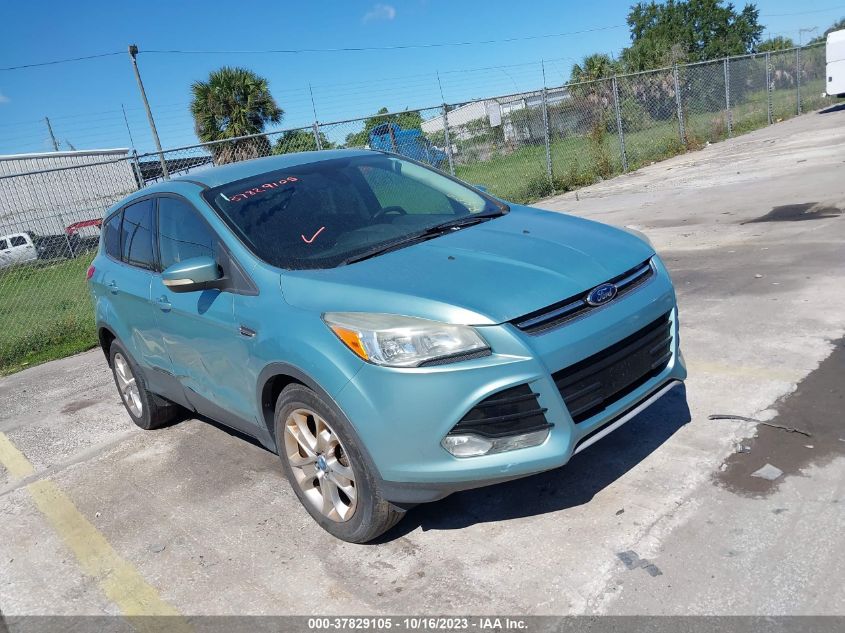 2013 FORD ESCAPE SEL - 1FMCU0HX9DUA88477