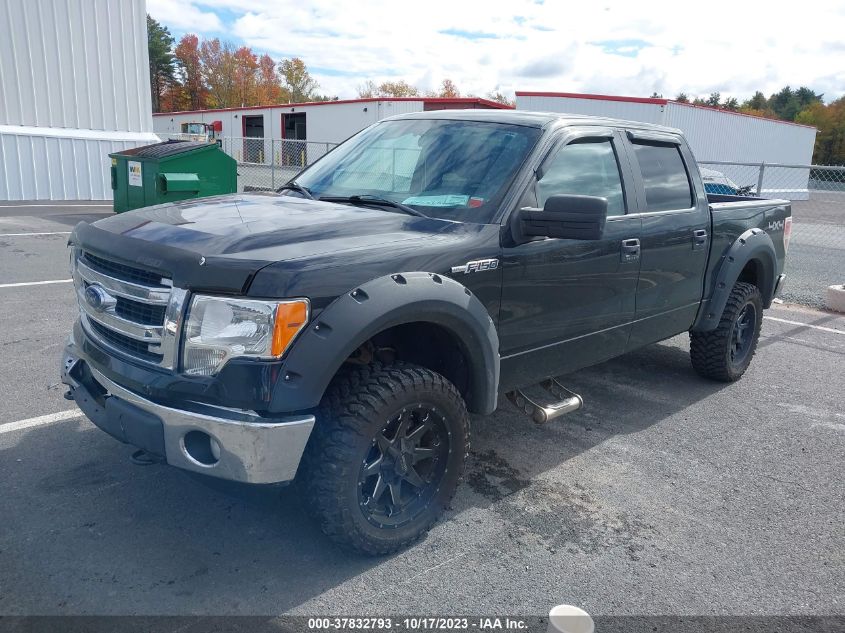 2013 FORD F-150 XL/XLT/FX4/LARIAT - 1FTFW1EF8DFA93610