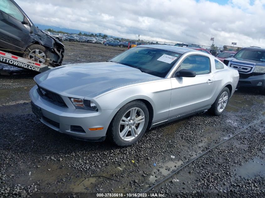 1ZVBP8ANXA5120788 2010 FORD MUSTANG - Image 2