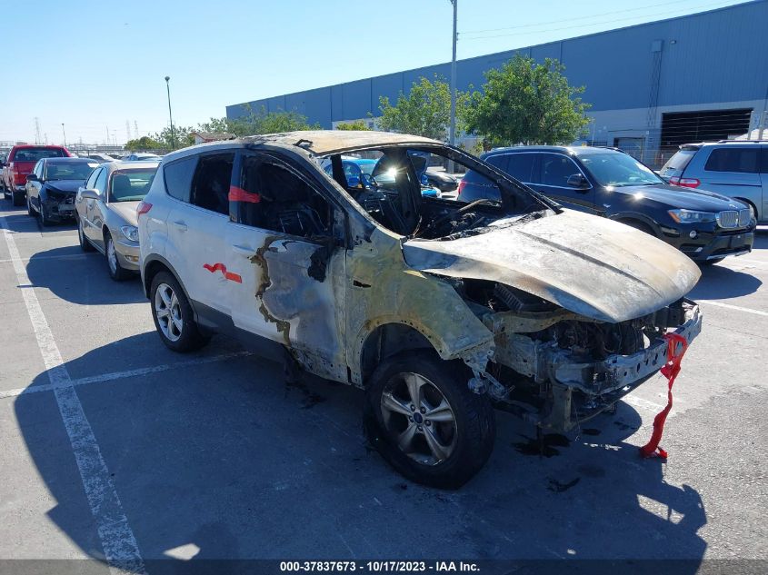 2014 FORD ESCAPE SE - 1FMCU0GX8EUC02407