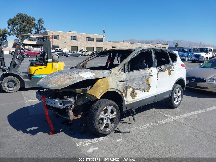2014 FORD ESCAPE SE - 1FMCU0GX8EUC02407