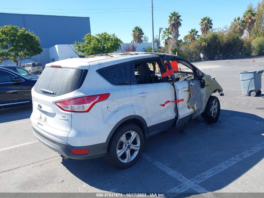 2014 FORD ESCAPE SE - 1FMCU0GX8EUC02407