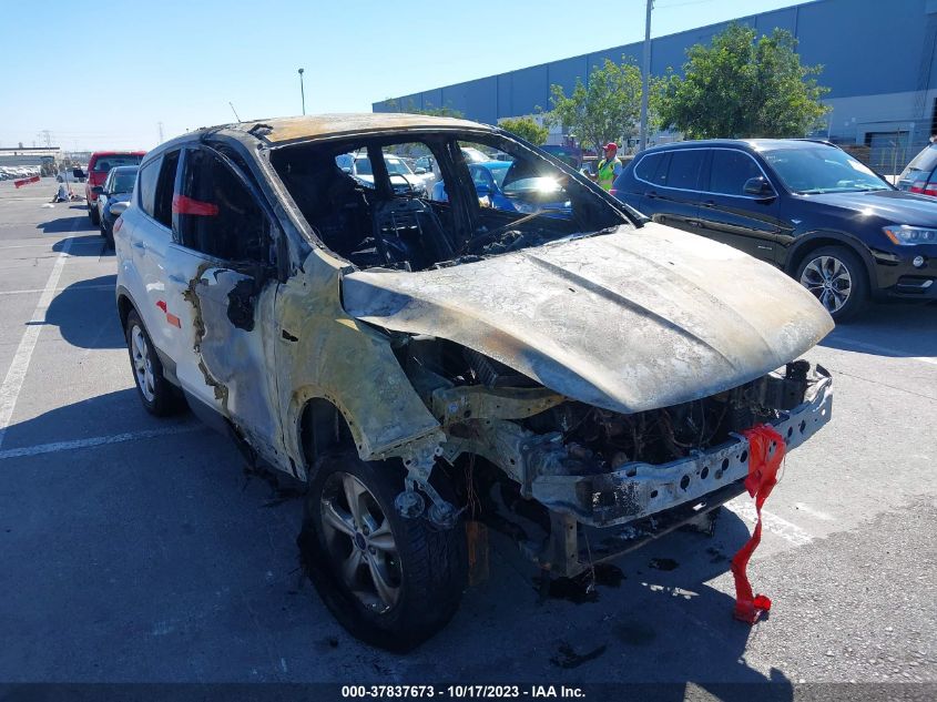 2014 FORD ESCAPE SE - 1FMCU0GX8EUC02407