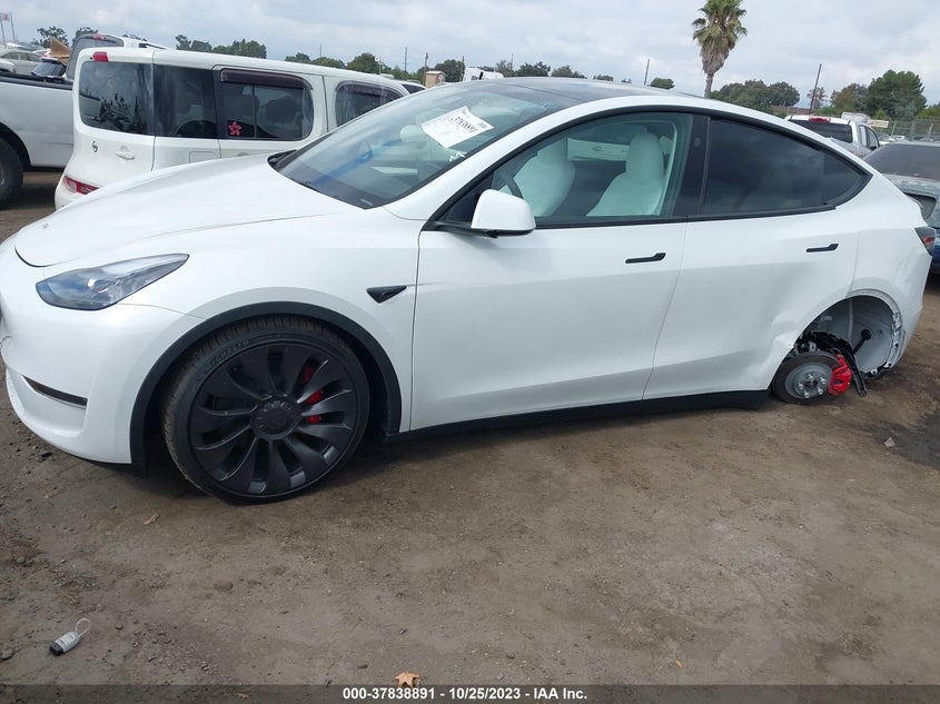 VIN 7SAYGDEF6PF834128 2023 TESLA MODEL Y