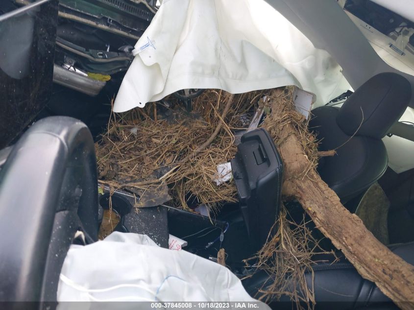 2019 TESLA MODEL 3 - 5YJ3E1EA7KF304372