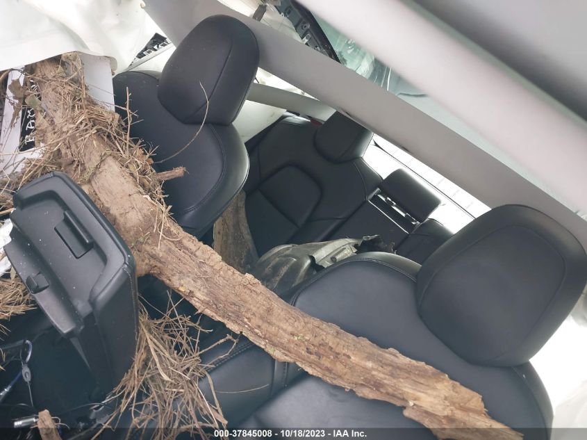 2019 TESLA MODEL 3 - 5YJ3E1EA7KF304372