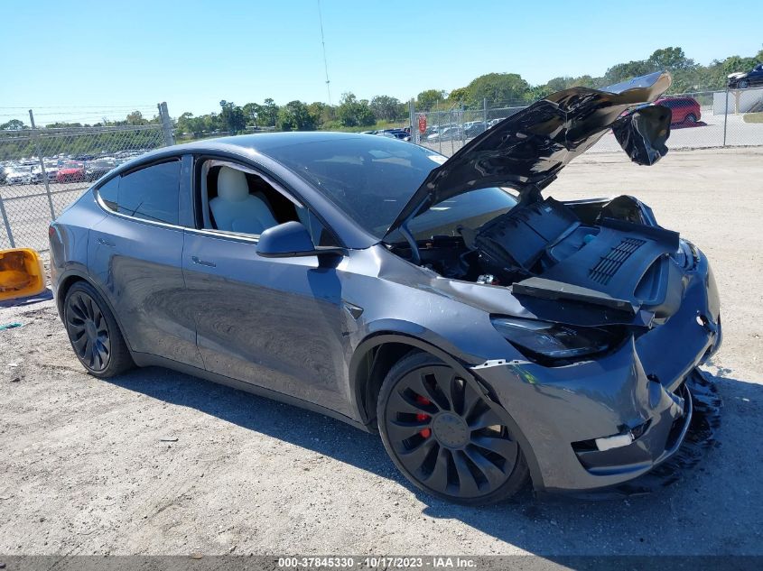 2023 TESLA MODEL Y - 7SAYGDEF3PF600867