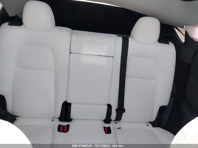 2023 TESLA MODEL Y - 7SAYGDEF3PF600867