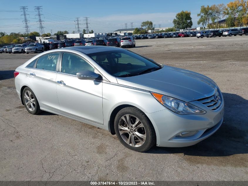 2013 HYUNDAI SONATA LIMITED - 5NPEC4AC0DH531401