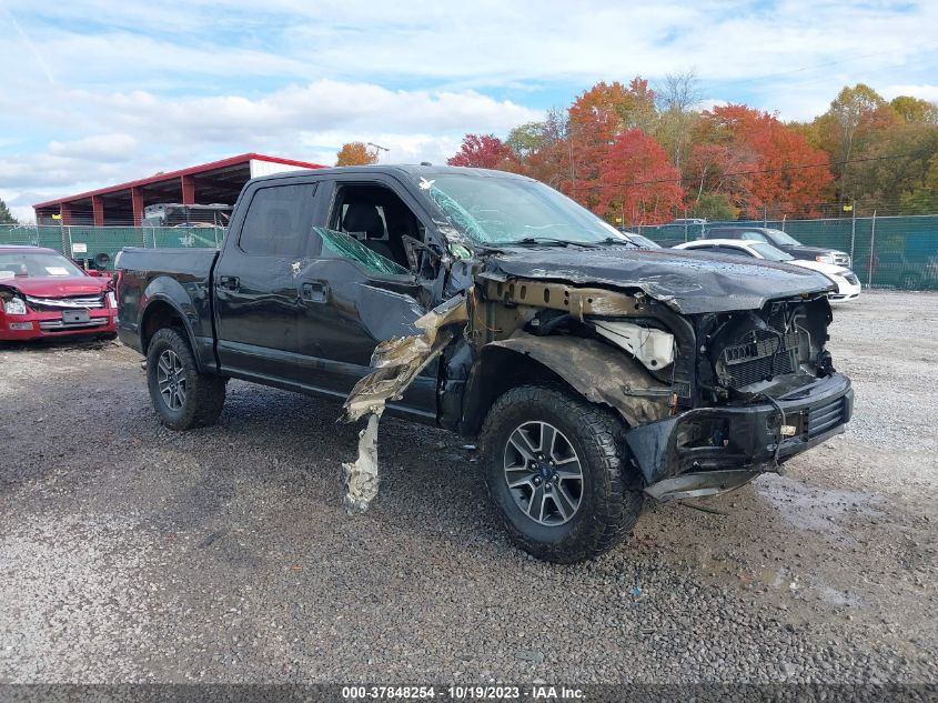 2015 FORD F-150 XLT - 1FTEW1EG3FFB68706