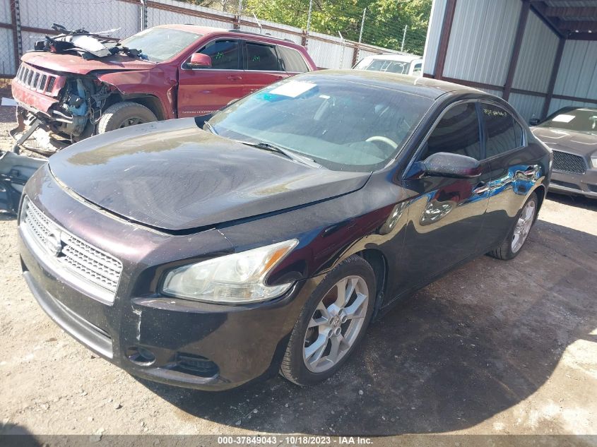 2013 NISSAN MAXIMA S/SV - 1N4AA5AP3DC817466
