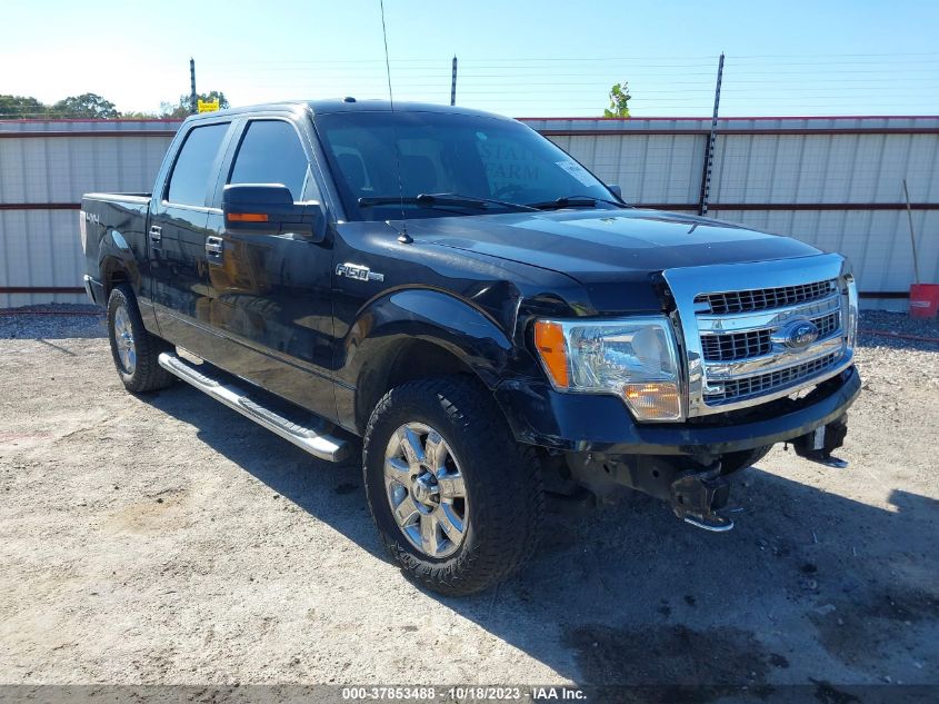 2013 FORD F-150 XL/XLT/FX4/LARIAT - 1FTFW1EF1DFC78940