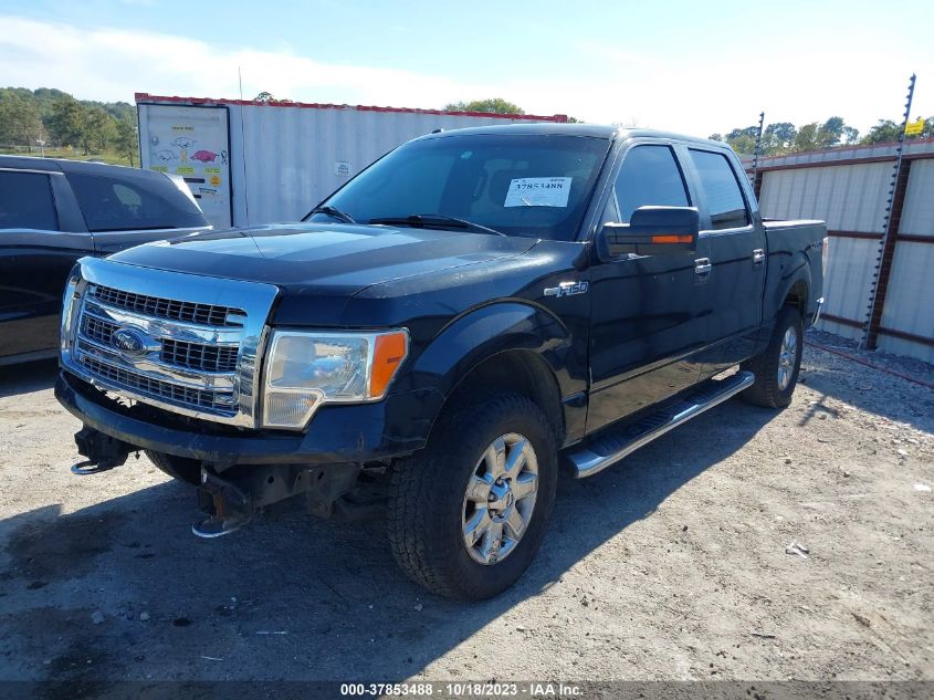 2013 FORD F-150 XL/XLT/FX4/LARIAT - 1FTFW1EF1DFC78940