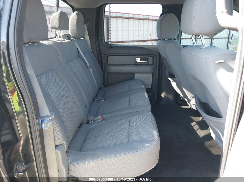 2013 FORD F-150 XL/XLT/FX4/LARIAT - 1FTFW1EF1DFC78940