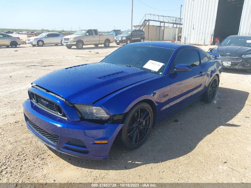 1ZVBP8CF5D5222977 2013 FORD MUSTANG, photo no. 2