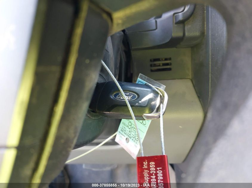 2019 FORD F-250 XL - 1FT7W2BTXKEG19095