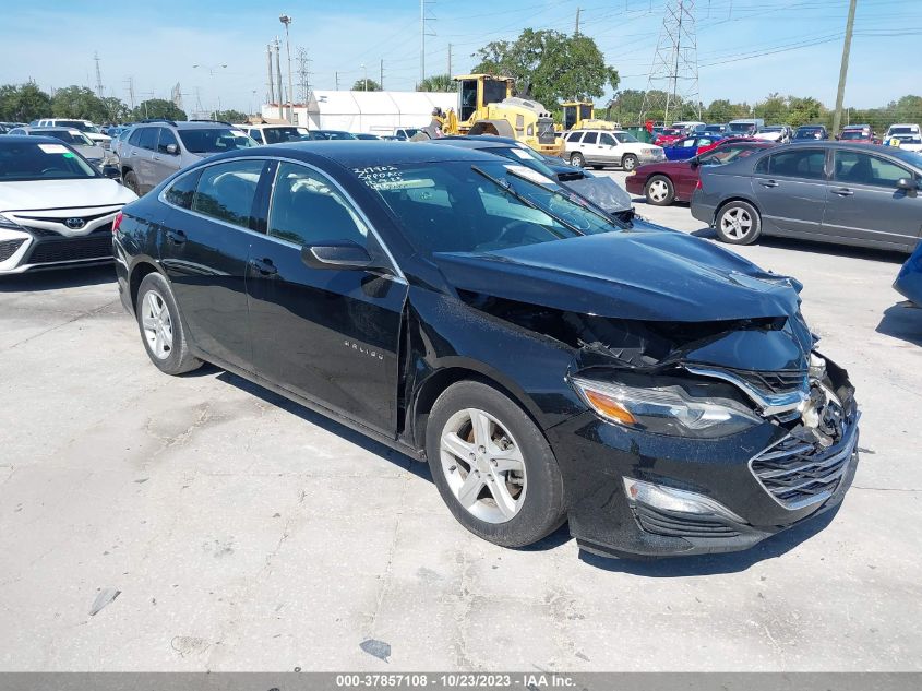 Lot #2539238181 2019 CHEVROLET MALIBU 1FL salvage car