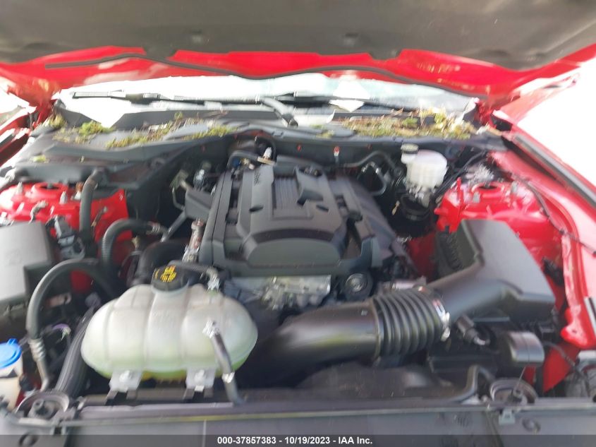 2020 FORD MUSTANG - 1FA6P8THXL5171020