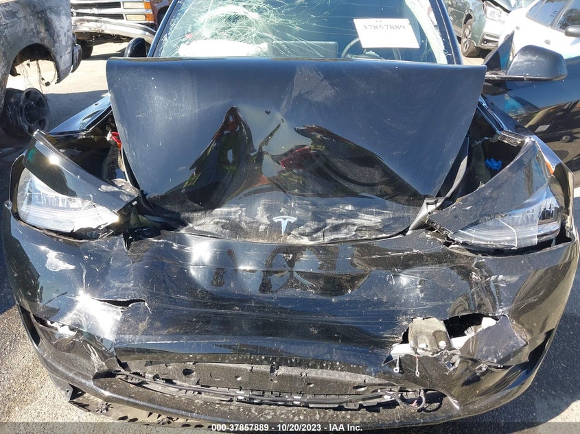 VIN 7SAYGDEE3PA116380 2023 TESLA MODEL Y LONG RANGE