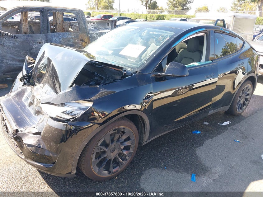 VIN 7SAYGDEE3PA116380 2023 TESLA MODEL Y LONG RANGE